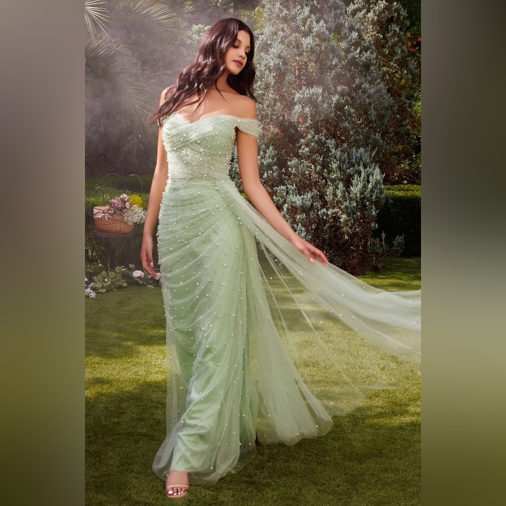 NWT SAGE TULLE GOWN